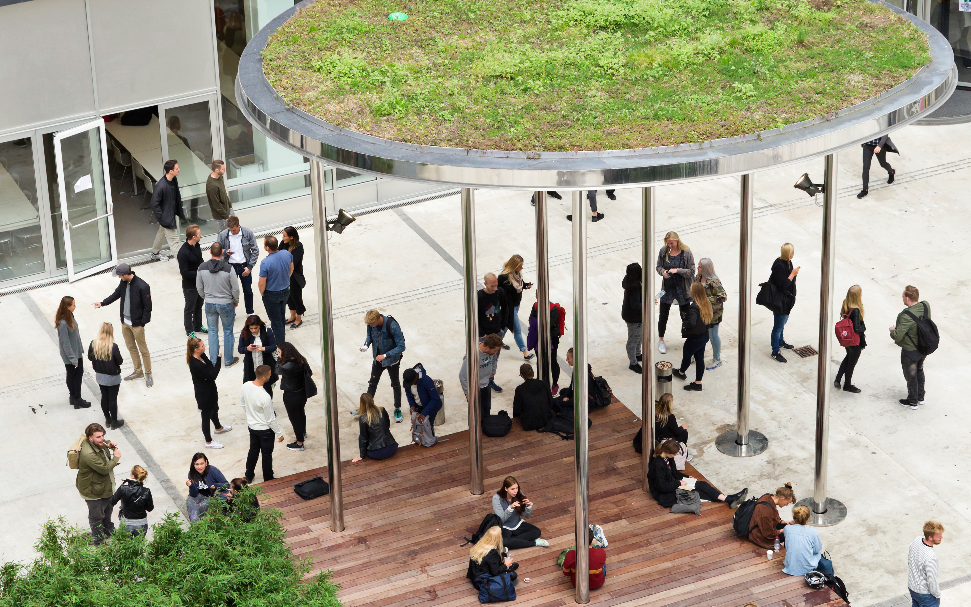 Modern steel patio with sedum roof in a courtyard